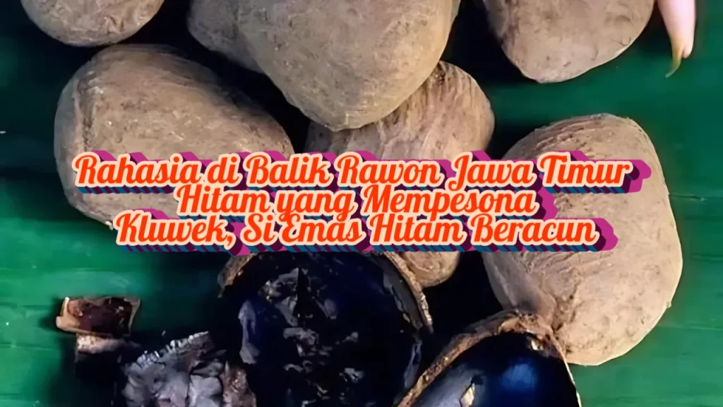 Rahasia di Balik Rawon Jawa Timur ,Hitam yang Mempesona: Kluwek, Si Emas Hitam Beracun Rahasia di Balik Rawon Jawa Timur ,Hitam yang Mempesona: Kluwek, Si Emas Hitam Beracun